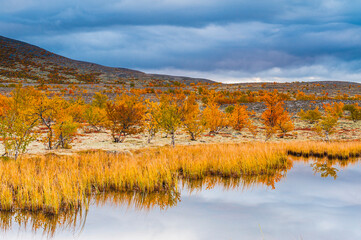 Autumn colors reflecting on tranquil waters in Rondane National Park, Norway