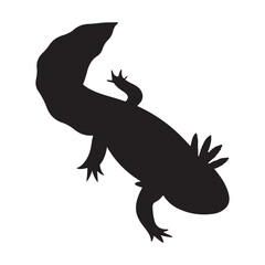 Axolotl silhouette vector flat illustration design.