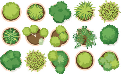 Vector Top-Down Illustration of a Grid of Potted Plants in Terracotta Pots Featuring Various Green Species with Detailed Leaf Textures and Minimalist Botanical Design

