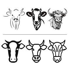 Cow Vector Set 7