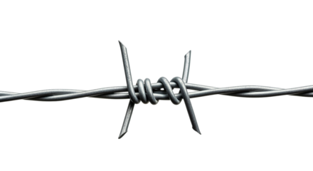 Close-up of Barbed Wire on Sharp, Detailed Image of Intertwined Metal Wires isolated on transparent background
