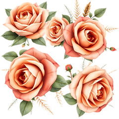 Bouquet of roses PNG