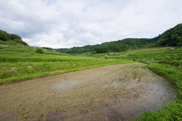 日本の岡山県美咲町の大垪和西の棚田の美しい風景