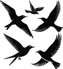 Naklejka premium Flying Bird Silhouette