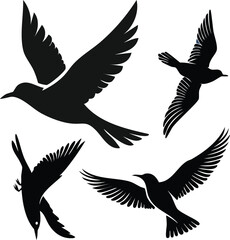 Obraz premium Flying Bird Silhouette