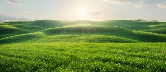 Fototapeta premium Rolling Green Hills Under a Sunny Sky