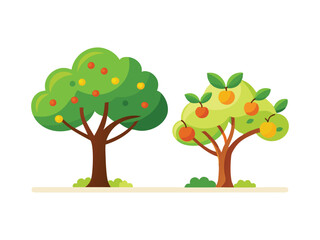 Two fruit trees with apples and oranges isolated on white background
