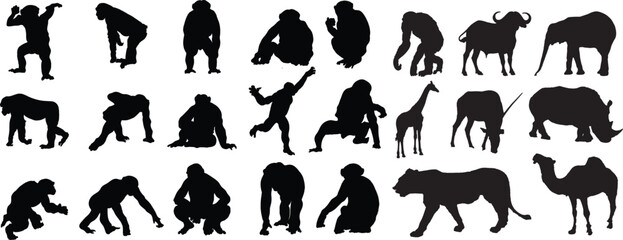 Silhouettes of Various Primates and a Bear