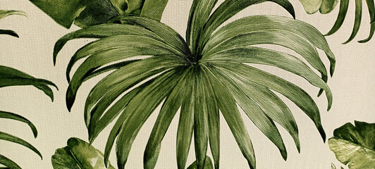 Dark green leafed monstera or split-leaf philodendron is the symbolic uniqueness of the tropical paradise forest, © pinar