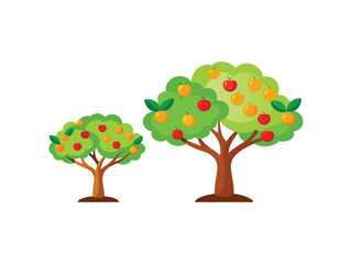 Two fruit trees growing apples and oranges isolated on white background
