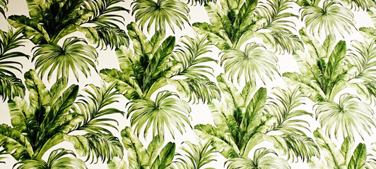 Dark green leafed monstera or split-leaf philodendron is the symbolic uniqueness of the tropical paradise forest, © pinar