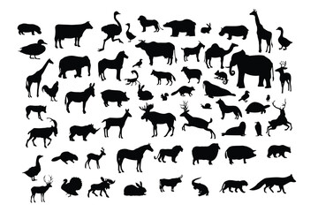 vector collection of many animal silhouettes