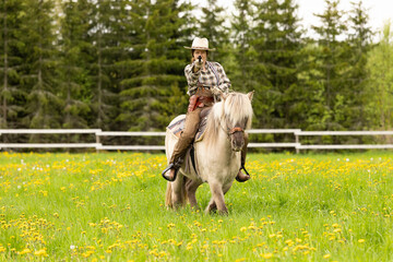 Cowgirl riding on horse (Icelandic horse). Green meadow and trees