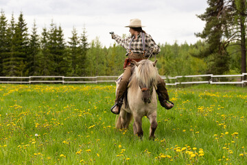 Cowgirl riding on horse (Icelandic horse). Green meadow and trees
