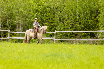 Cowgirl riding on horse (Icelandic horse). Green meadow and trees