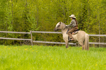 Cowgirl riding on horse (Icelandic horse). Green meadow and trees