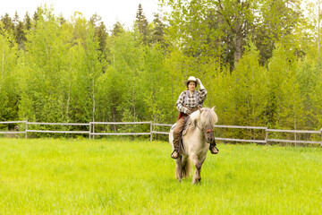 Cowgirl riding on horse (Icelandic horse). Green meadow and trees