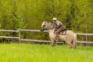 Cowgirl riding on horse (Icelandic horse). Green meadow and trees
