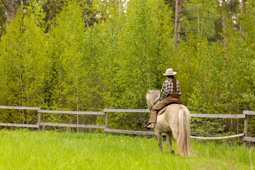 Cowgirl riding on horse (Icelandic horse). Green meadow and trees