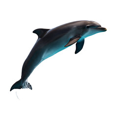 Fototapeta premium Dolphin Leap: Aquatic Mammal in Motion