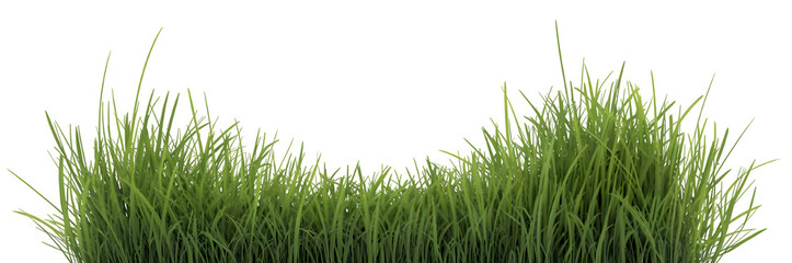 Fototapeta premium Vibrant Green Grass Wave Pattern on transparent background