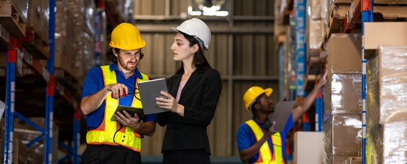 Female manager and male worker checking on shelf with digital tablet in warehouse. Professional...