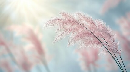 Close Up Pink Grass Flower with Sunlight and Sky in Background on a Bright Day