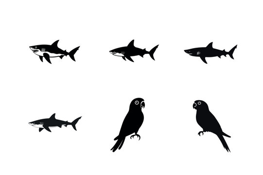 Shark and parrot silhouettes set graphic design