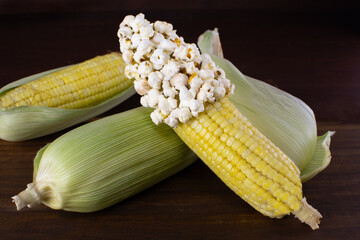 one corns with corn corn grains and popcorn 