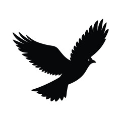 vector illustration of a dove