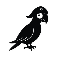 cartoon bird on white