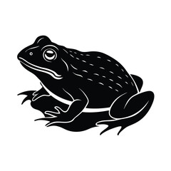 American Bullfrog Head Above Water