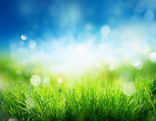 Obraz premium beautiful sunny spring meadow with green grass and blue sky abstract background with light bokeh and space for text