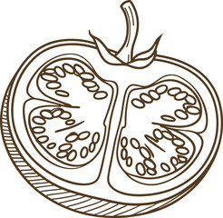 Sliced tomato illustration, halved vegetable with visible seeds and sections, hand drawn outline sketch