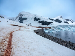The Antarctic Peninsula is the dream destinations of countless explorers and nature lovers. The...