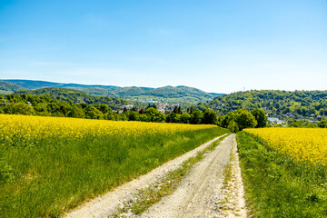 Frühsommerliche Wanderung rund um die Fachwerkstadt Schmalkalden am Südwesthang vom Thüringer Wald - Thüringen - Deutschland 
