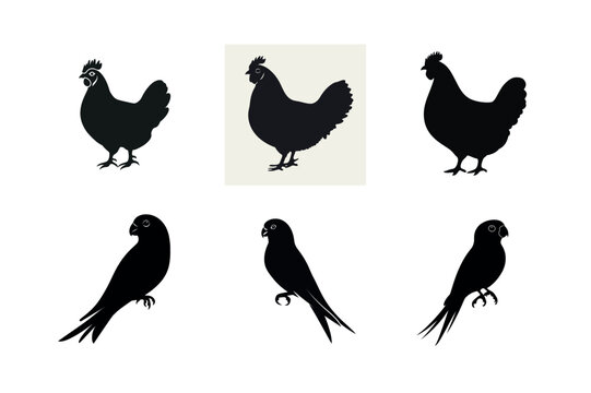Silhouette set of chickens and parakeets