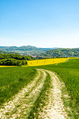 Frühsommerliche Wanderung rund um die Fachwerkstadt Schmalkalden am Südwesthang vom Thüringer Wald - Thüringen - Deutschland 