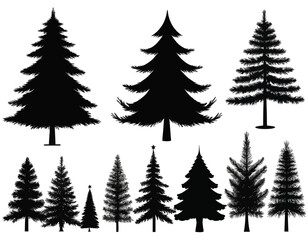 Obraz premium Silhouette Collection Of Various Pine Trees