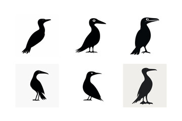 Obraz premium Six black silhouettes of cormorants in different poses