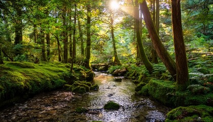 Obraz premium gentle creek winding through a moss covered forest with dappled sunlight filtering through trees