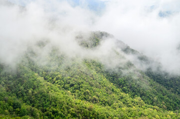 Mist in the valley during the Rain Season.Natural Rain Season landscape Northern Thailand.