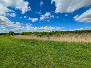 Sunlit Landscape Nature s Harmony