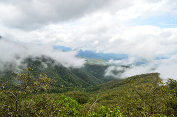 Mist in the valley during the Rain Season.Natural Rain Season landscape Northern Thailand.