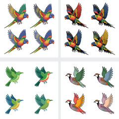 Colorful tropical birds vector illustration set with floral and leaf design elements