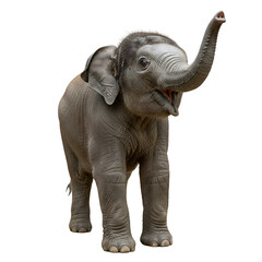Obraz premium Playful Young Elephant: A Majestic Creature