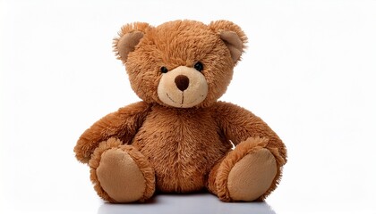Obraz premium brown teddy bear toy plush soft isolated on a white background