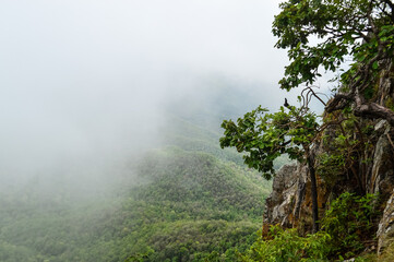 Mist in the valley during the Rain Season.Natural Rain Season landscape Northern Thailand.