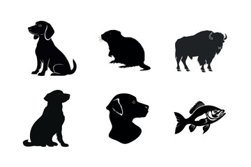 Naklejka premium Silhouettes of Common Animals and Pets