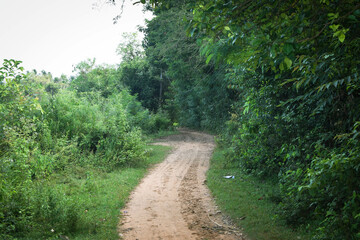 Majestic Landscapes of Sri Lanka. Breathtaking Beauty Capturing the Serene Essence of Nature in Stunning Landscapes. A Journey Through Picturesque Nature Landscapes. The beauty of Nature’s Landscape